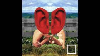 Clean Bandit - Symphony (Calvisso & Williams Remix) [William Yang Cover]