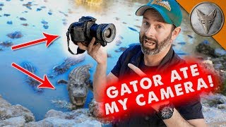 Gator Ate My Camera!