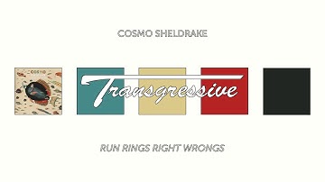 Cosmo Sheldrake - Run Rings Right Wrongs