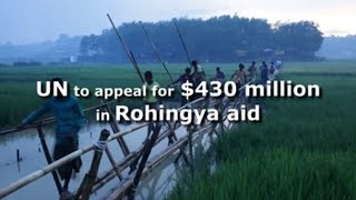 UN to appeal for $430 million in Rohingya aid