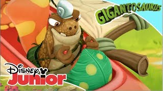 Haos în Cretacia  | Gigantozaurul | Disney Junior România