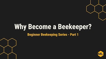 Why Become a Beekeeper? Beginner Beekeeping Series - Part 1