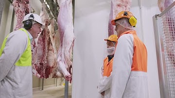 Intelligent Robotics IR Scribe Ai Beef Scribing Solutions