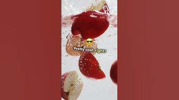 Why Do Apples Float? 🍎💧 The Surprising Truth