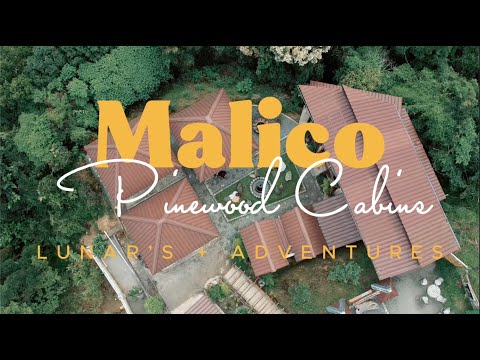 Where To Stay In Malico Malico Pinewood Cabins