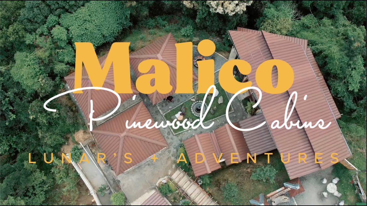 Where to Stay In: Malico - Malico Pinewood Cabins