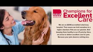 Veterinary Tonawanda|Green Acres Animal HospitalRating★★★★★(716)694 0122