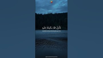 لا تحزن ان الله معنا | تلاوة مؤثرة القارئ عبد الرحمن مسعد #quran #قرآن #عبدالرحمن_مسعد