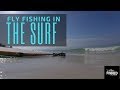 Finned Pursuit Season 1 Ep 6 -- Fly Fishing in the Surf for Ladyfish