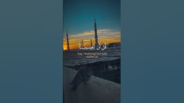 سورة التوبة - ماهر المعيقلي
