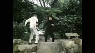 The fall guy LWT promo 1982