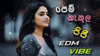 පෙම් කැකුල පිපී | PEM KAKULA PIPI | EDM VIBE
