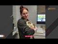 Chinese cat mistakenly shipped to America