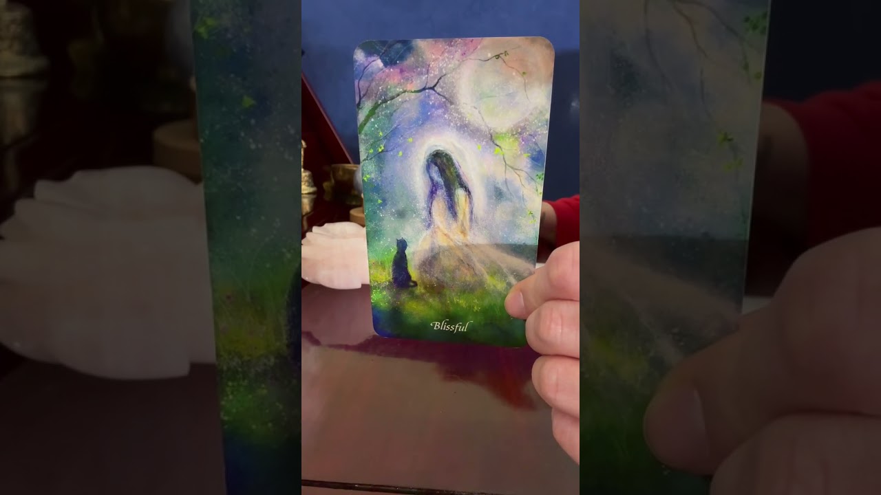 Daily 🥰 Spirit Guide Message