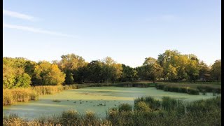 Urban Stormwater Wetland Profile - Riverside Park Webster City