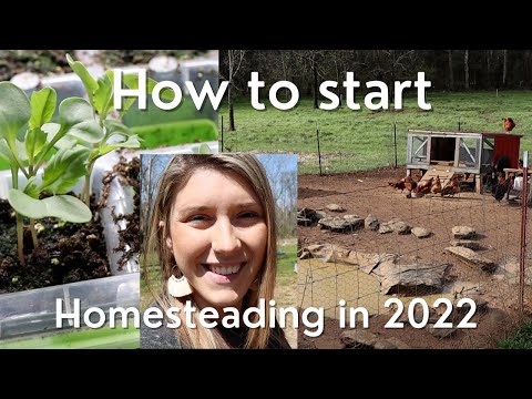 Video: How to Start Homesteading: Tips For The Beginner Homesteader
