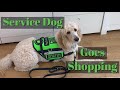 Service dog goes to the mall // Christmas shopping