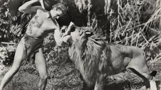 tarzan boy extended instrumental remix