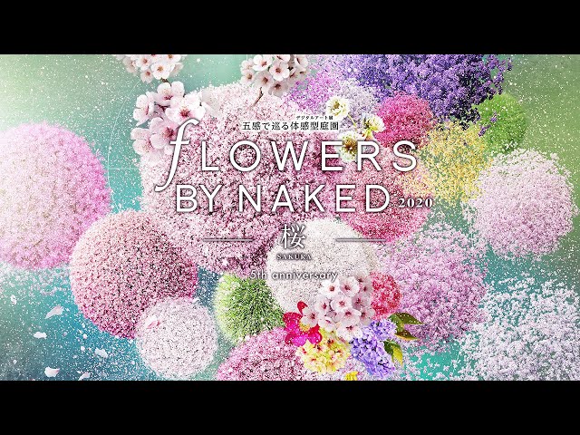 FLOWERS BY NAKED 2020 －SAKURA－ Digest Movie - YouTube