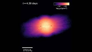 [Density] collision between 10Rsol giants with impact parameter 0.04 * R_star with v_rel = 5000km/s