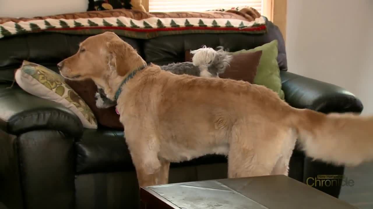 Tuesday, February 12th: Fritz's Howling Dog Club