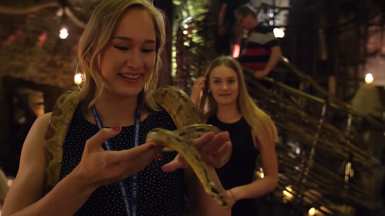 WELCOME TO A MEDIEVAL TAVERN U PAVOUKA 🕸️