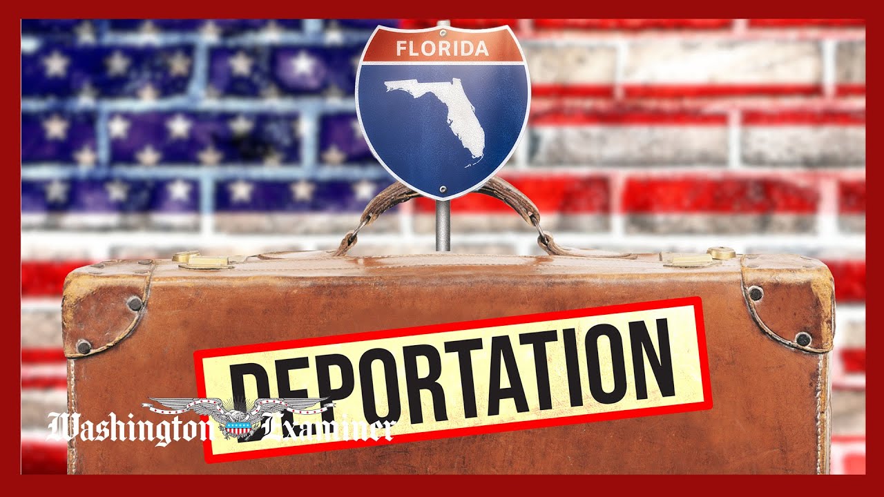 Florida paying for illegal immigrants to self deport on commercial flights