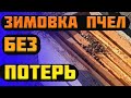 Зимовка пчел без потерь.Когда подкармливать пчел медом или канди. Контроль клуба пчел в улье.