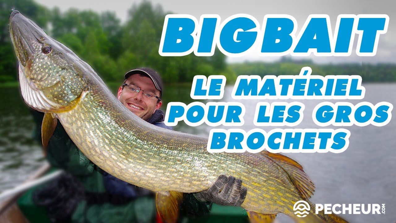 Conseils de pêche au brochet par Leurre Juste - Vidéos sur la