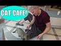 What it's Actually Like at a Japanese Cat Café