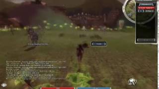Guild Wars Super Drunk