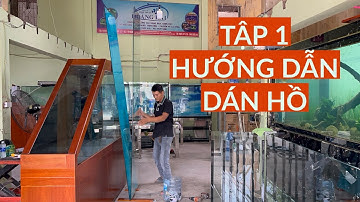 Hướng dẫn chi tiết DÁN HỒ CÔNG NGHỆ MỚI 4 lớp đáy từ A đến Á tại xưởng HỒ CÁ HOÀNG HẢI #hocahoanghai