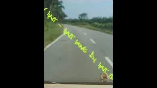 Oto padang ke duri
