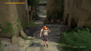 ABSOLVER for noob
