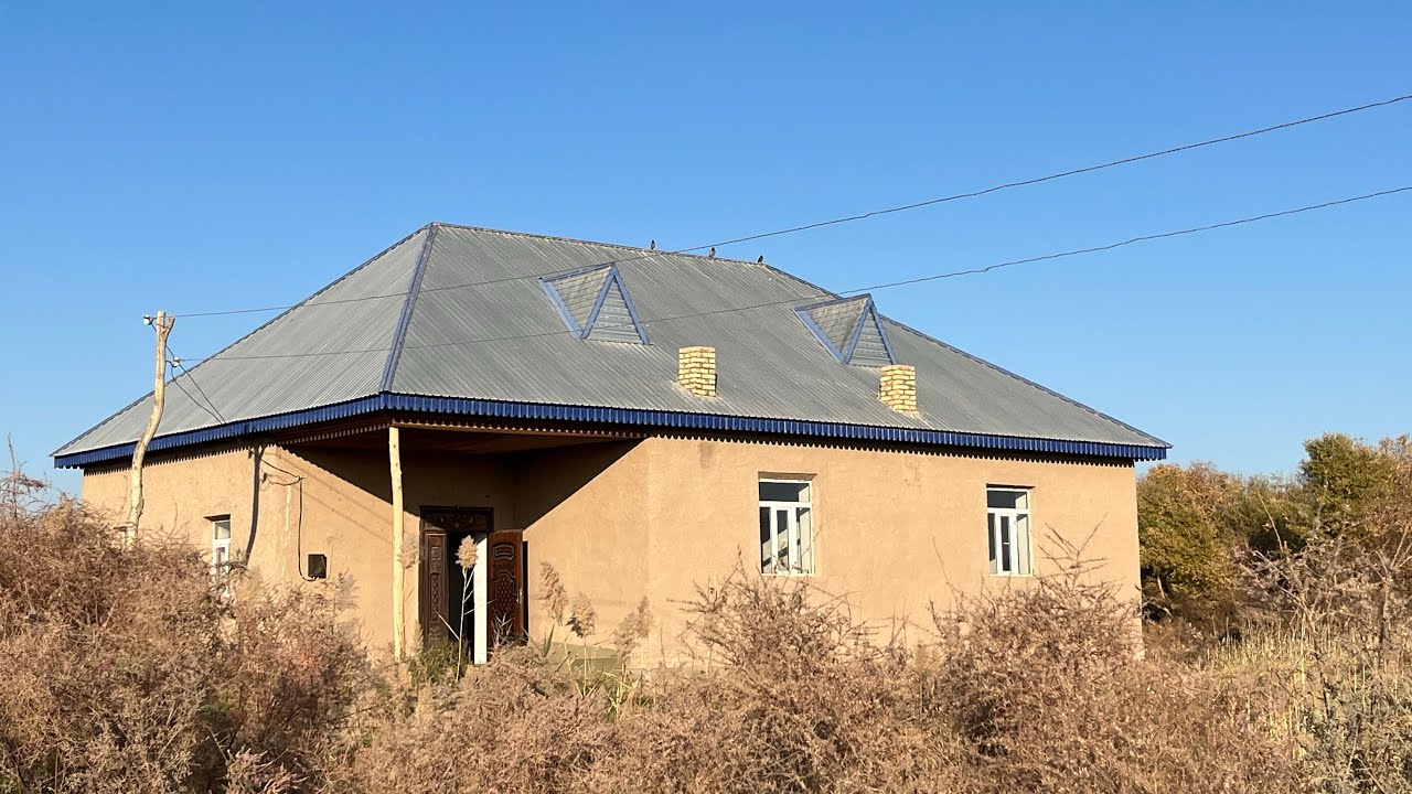 OLTINSOY OFY DA TAYOR JOY 230 Milyon somga SOTILADI