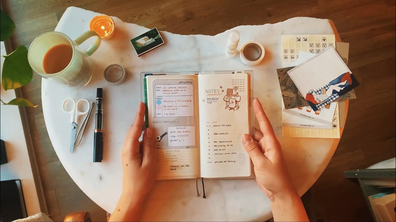 Как я организовала свои «Недели Хобоничи» в 2026 году — версия для студентов-медиков °~