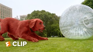 Clifford the Big Red Dog Exclusive Movie Clip - No Fetch! (2021) | Fandango Family
