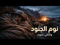 كيف نام الجنود في الخنادق الموحلة تحت وابل المطر والمدافع؟ | وثائقي للنوم