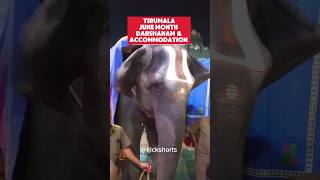 Tirumala June Month Darshan Accommodation 2025