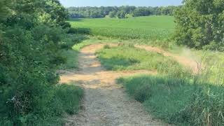 IMG 0149 IMG 0149