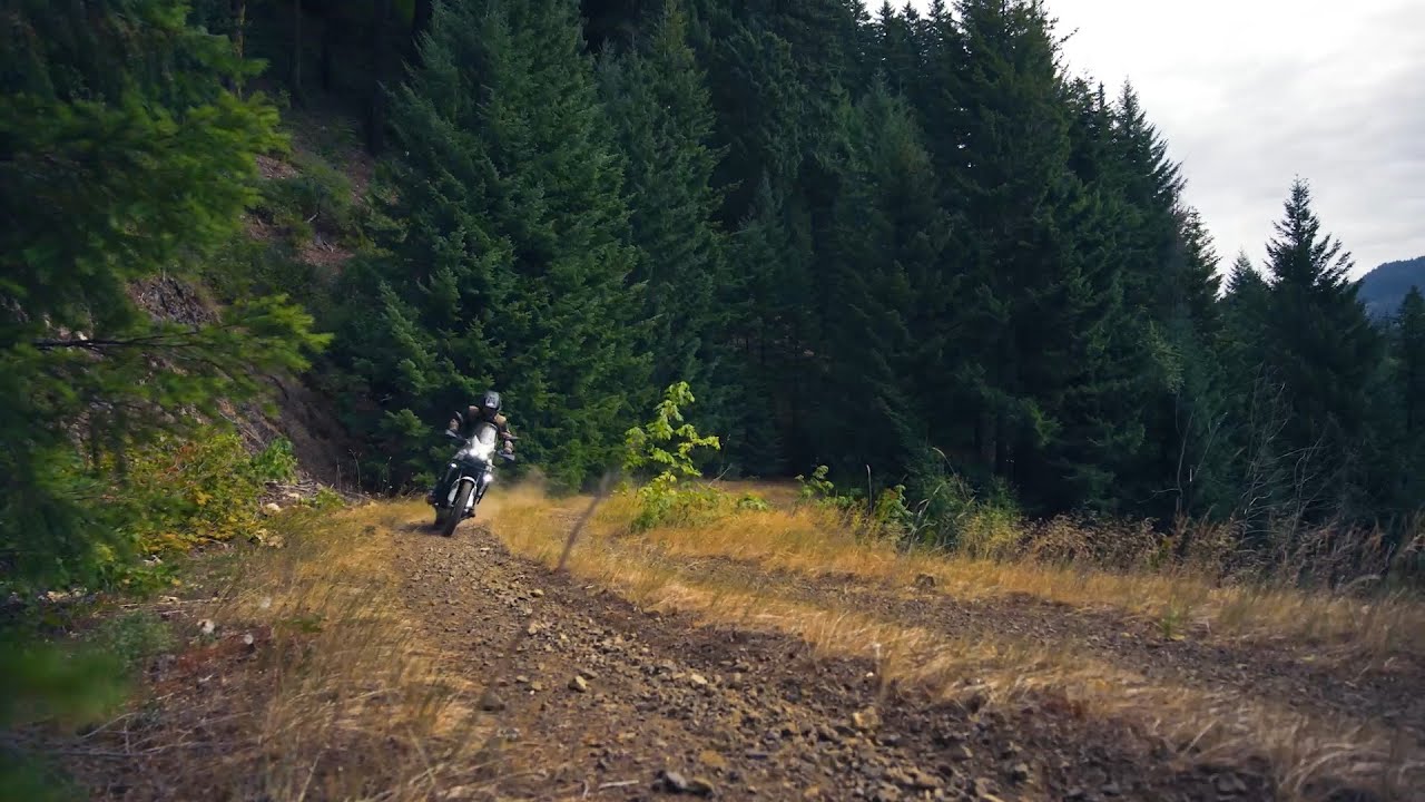 New 2026 Kawasaki KLE500 | Light & Agile