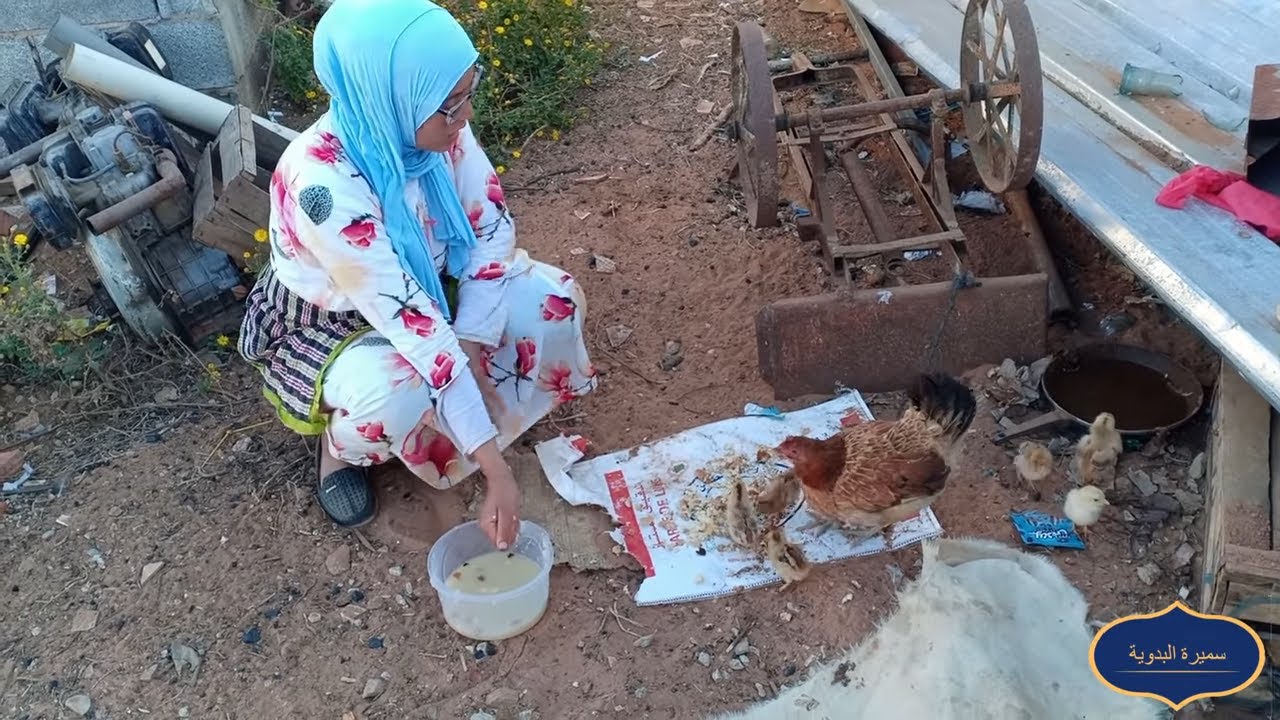 مشروع تربية الدواجن في المغرب مع سميرة البدوية و التمن لي واصل ليه البيض فهاد الوقت
