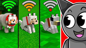 Minecraft with Different WiFi be like…