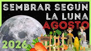 Lunar Planting and Gardening Calendar for AUGUST 🌱🌿 How to Plant by the Moon in AUGUST screenshot 3