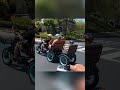 Effortless Electric Bike Ride: Power and Ease! #shorts