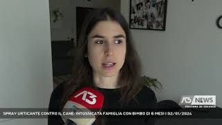 Spray Urticante Contro Il Cane Intossicata Famiglia Con Bimbo Di 6 Mesi 02012024