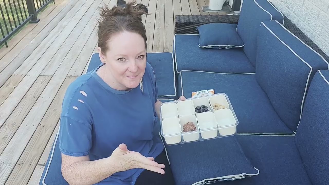 Snack Box Container, Dishwasher Safe Fruit Storage Containers