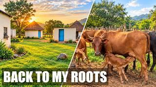 Back to My Roots | Life in Rural Zimbabwe