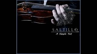 SALTILLO β A Simple Test (2006)