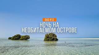 На берегу Персидского залива | Вооруженные арабы | Путешествие по ОАЭ #12